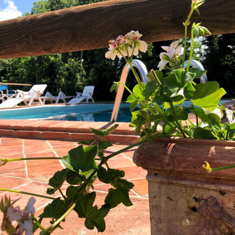 Villa Magda Todi Kültér fotó